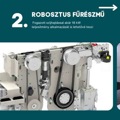 Robosztus fűrészmű