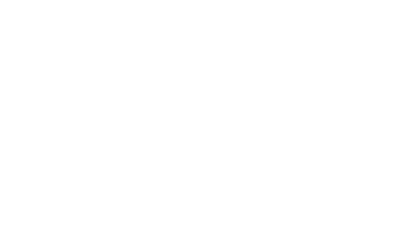 ANEST Service